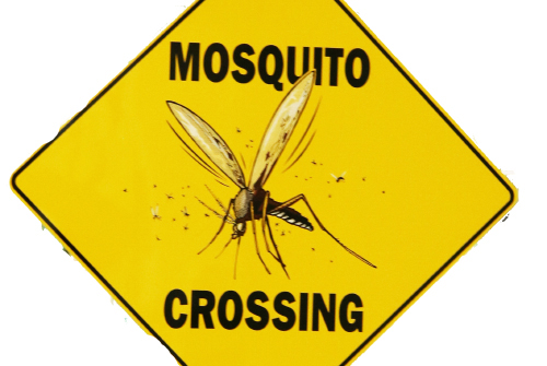 mosquito crossing sign