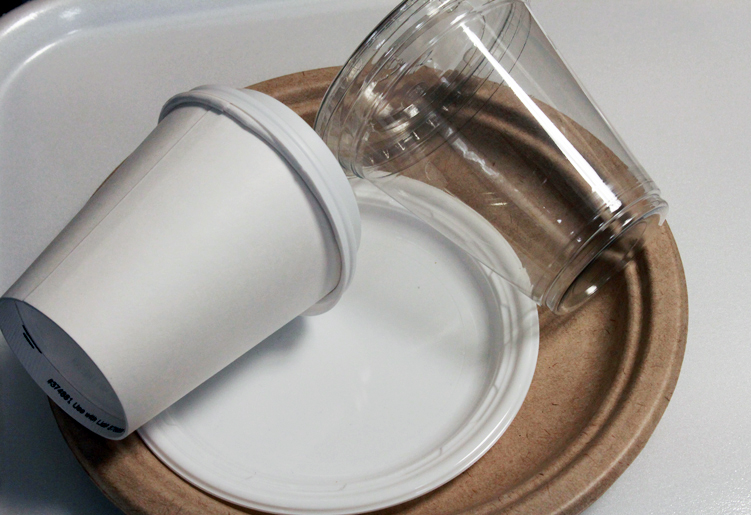 biodegradable plates and cups