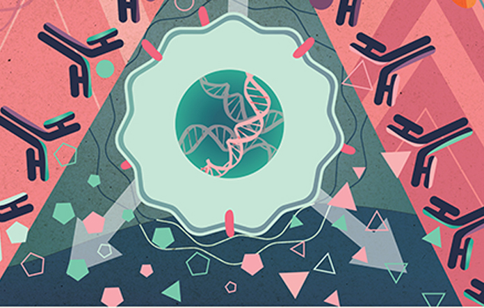 Anticytokine Autoantibodies illustration