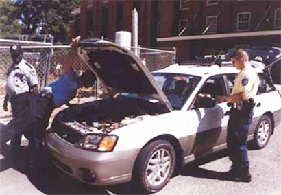 security checks a vehicle