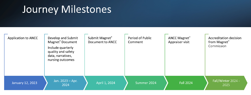 Magnet Journey Milestones Timeline