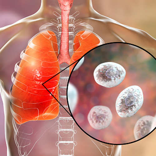 closeup on cells from lungs