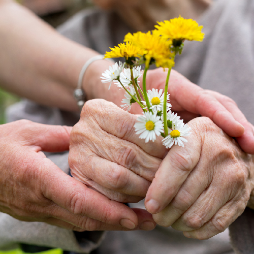 hands holding pick flowers