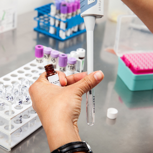 hands doing something with test tube in a lab