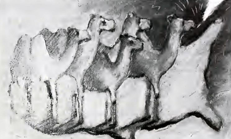 “Nicotine Addiction” lecture, 1996