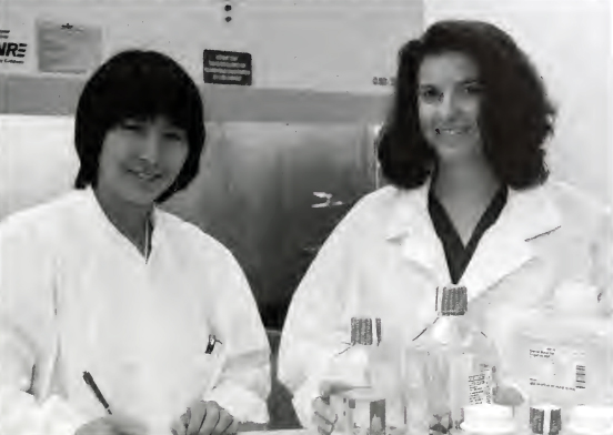 Janet Lee, left, and Angela Pickett, right,