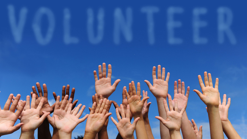 Volunteers with raised hands