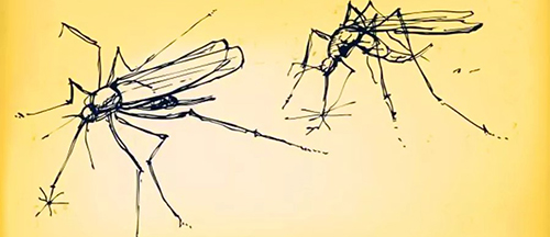 Malaria study