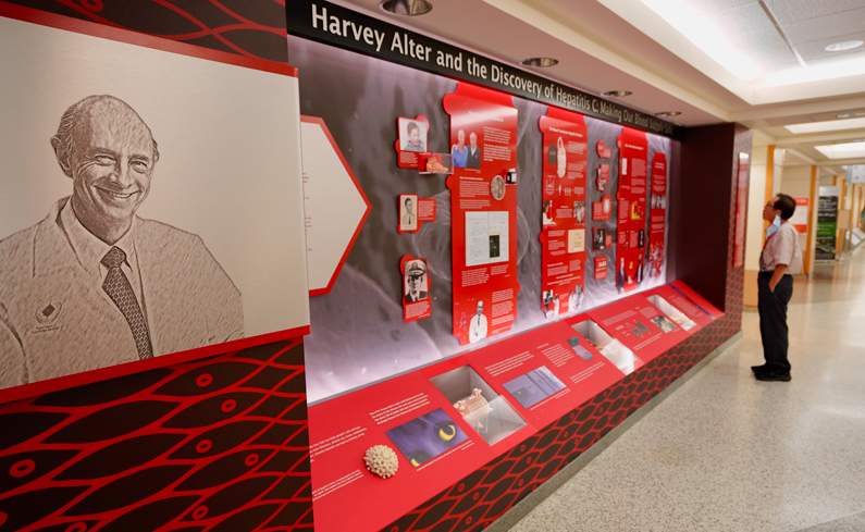 A gentleman browses a new wall exhibit in an NIH Clinical Center hallway