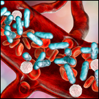 checkpoint inhibitor therapy