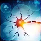 neurofilament light chain as a blood biomarker