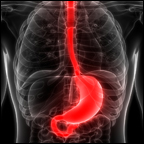 x-ray of chest cavity