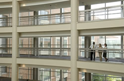 Upper Level Atrium Walkways