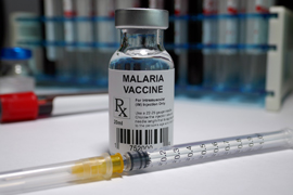 malaria vaccine vial and a syringe