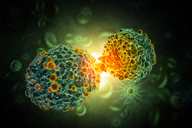 A 3D medical illustration shows two cancer cells connected by a bridge or contact point. This resembles dividing or interacting cellular structures and represents cancer outbreak and treatment in the human body