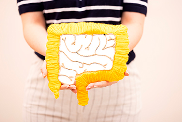 A person holding a crochet fabric art piece of the digestive system