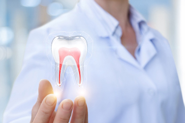 Close-up of a hand holding an illuminated tooth with branching root canals, representing tooth pain or dental health