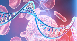 Microscopic image showing additional B-cells, labeled as B-cell image 2