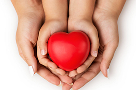 hands of an adult and a child holding a toy heart