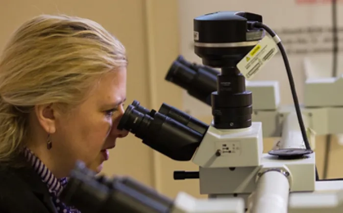 fellow looking in microscope