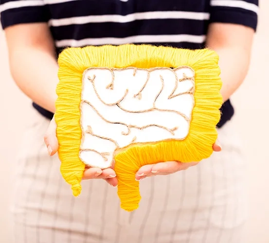 A person holding a crochet fabric art piece of the digestive system