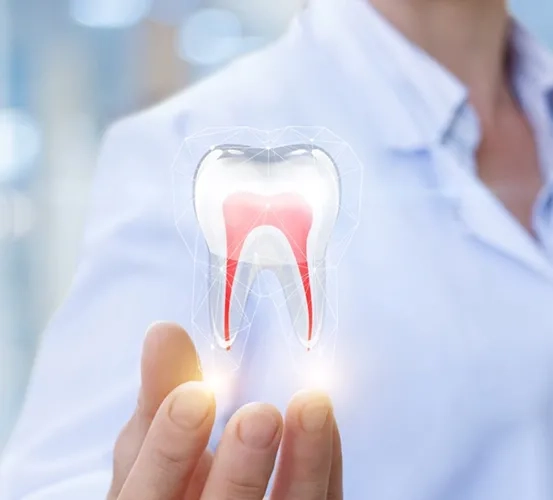 Close-up of a hand holding an illuminated tooth with branching root canals, representing tooth pain or dental health