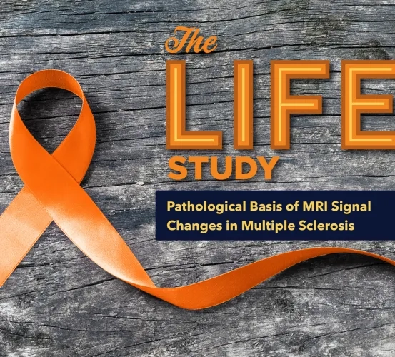 The Pathological Basis of MRI Signal Changes in Multiple Sclerosis: A Longitudinal In Vivo-to-Postmortem Stud