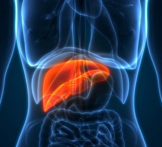 Phase II Study of Nivolumab (anti-PD1), Tadalafil and Oral Vancomycin in Patients with Refractory Primary Hepatocellular Carcinoma or Liver Dominant Metastatic Cancer from Colorectal or Pancreatic Cancers