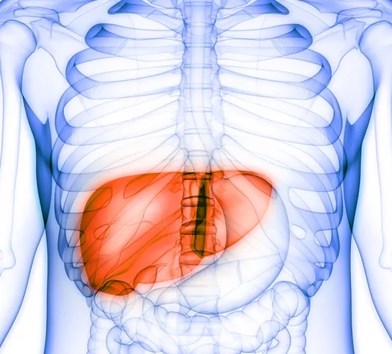 A Phase II Study of Combined Treatment of Durvalumab, Bevacizuamab, Tremelimumab and Transarterial Chemoembolization (TACE) in Subjects with Hepatocellular Carcinoma (HCC)or Biliary Tract Carcinoma (BTC)