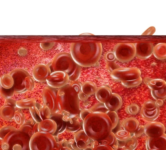 Improved Methods of Cell Selection for Bone Marrow Transplant Alternatives